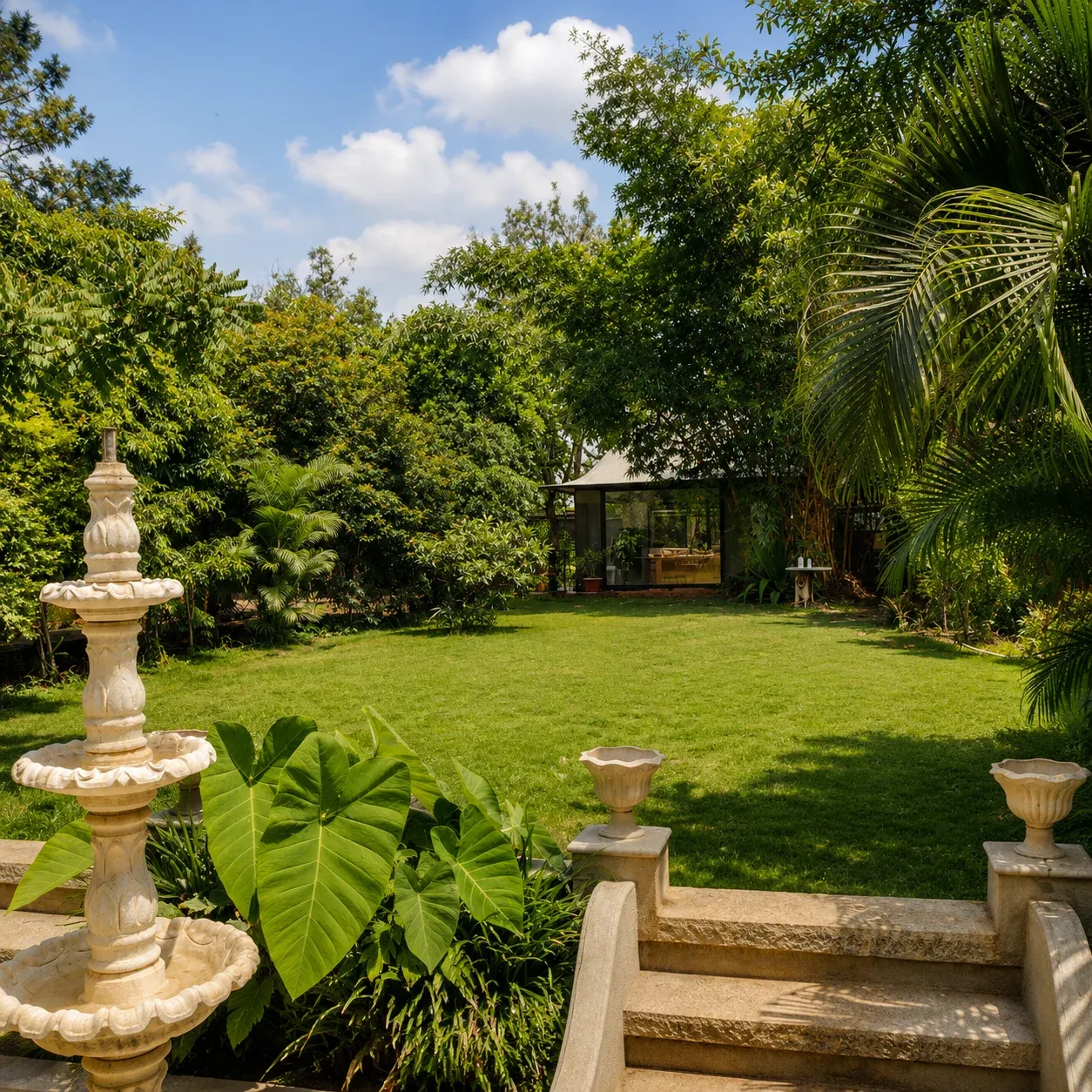 Small Lawn